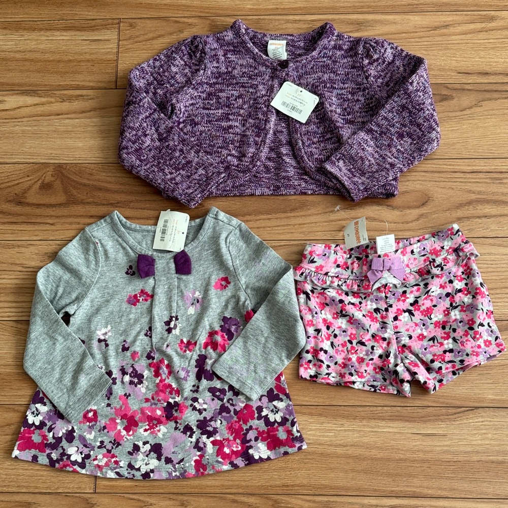 Brand new with tag Size 2T Gymboree